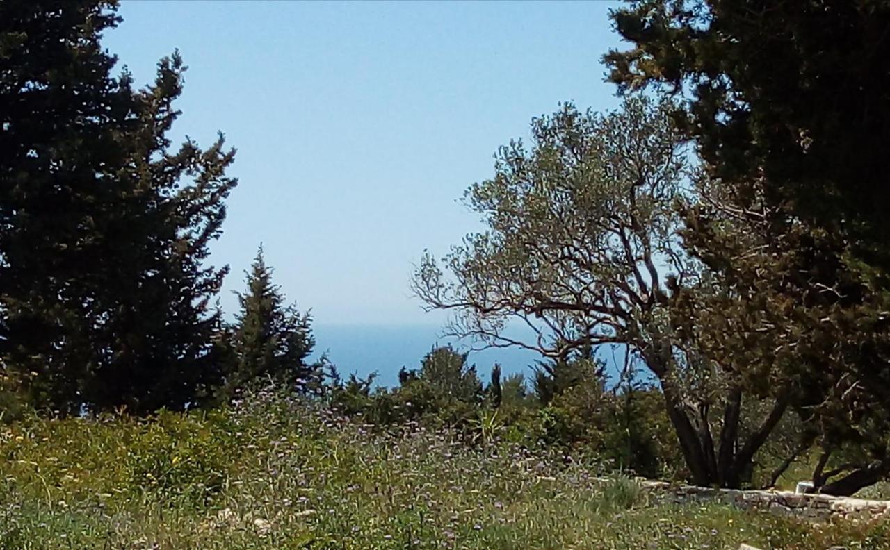 Villa Olive Garden, Kastanida - Paxoi جايوس المظهر الخارجي الصورة