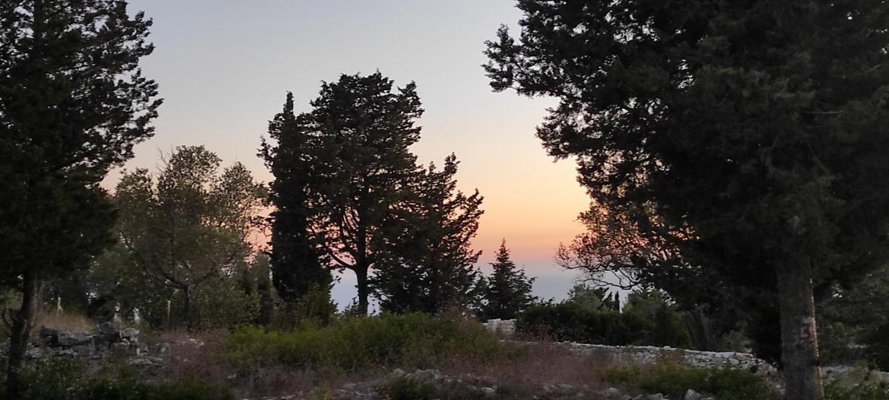 Villa Olive Garden, Kastanida - Paxoi جايوس المظهر الخارجي الصورة
