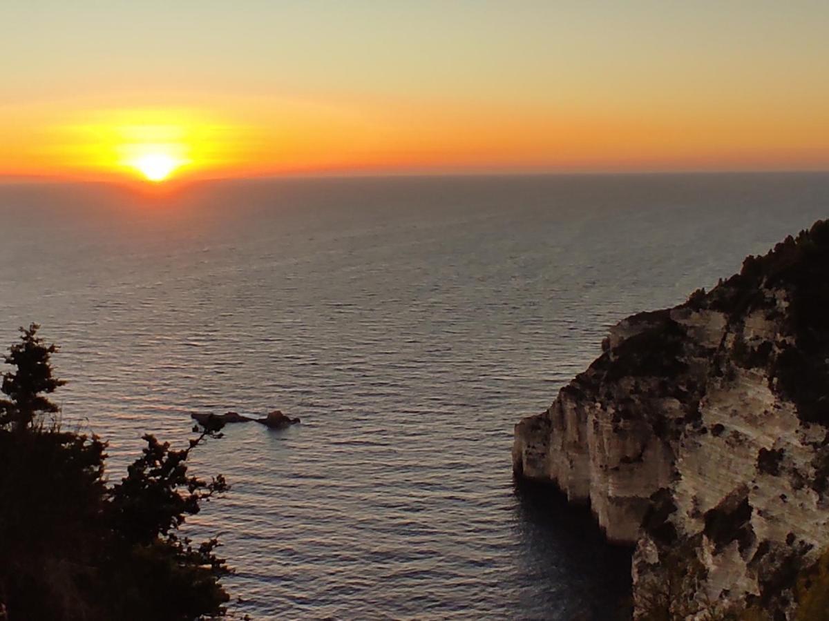 Villa Olive Garden, Kastanida - Paxoi جايوس المظهر الخارجي الصورة