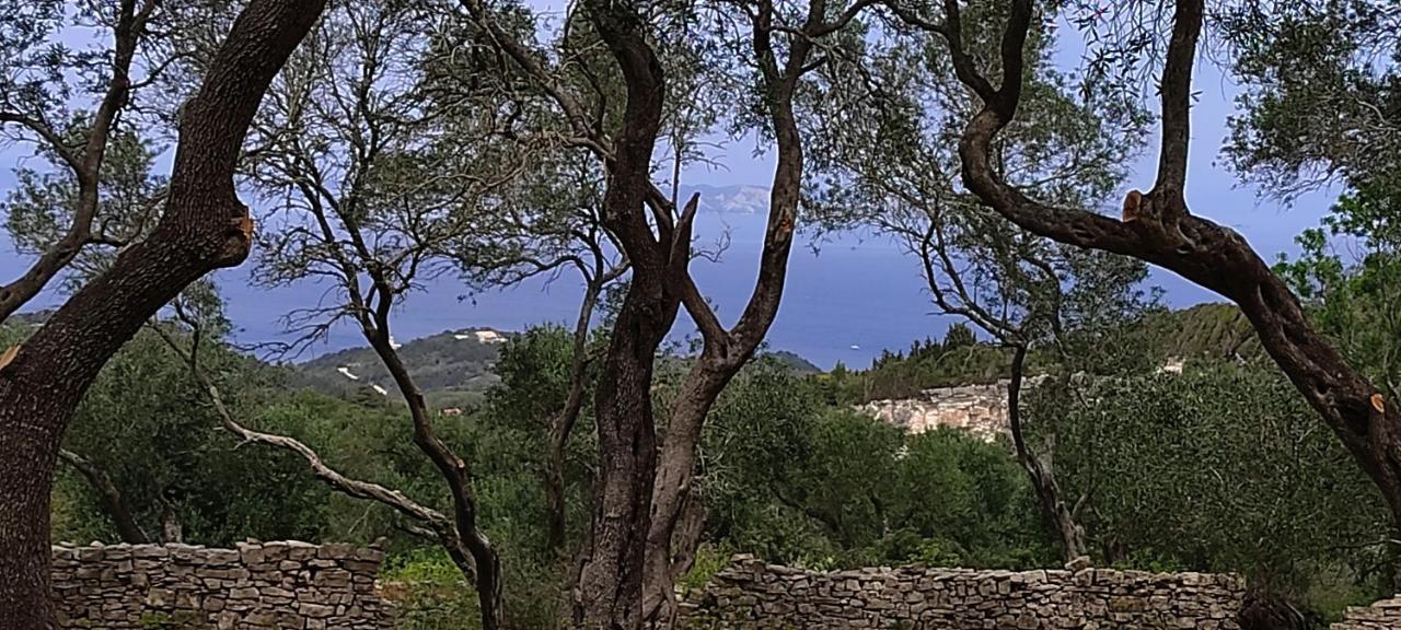 Villa Olive Garden, Kastanida - Paxoi جايوس المظهر الخارجي الصورة