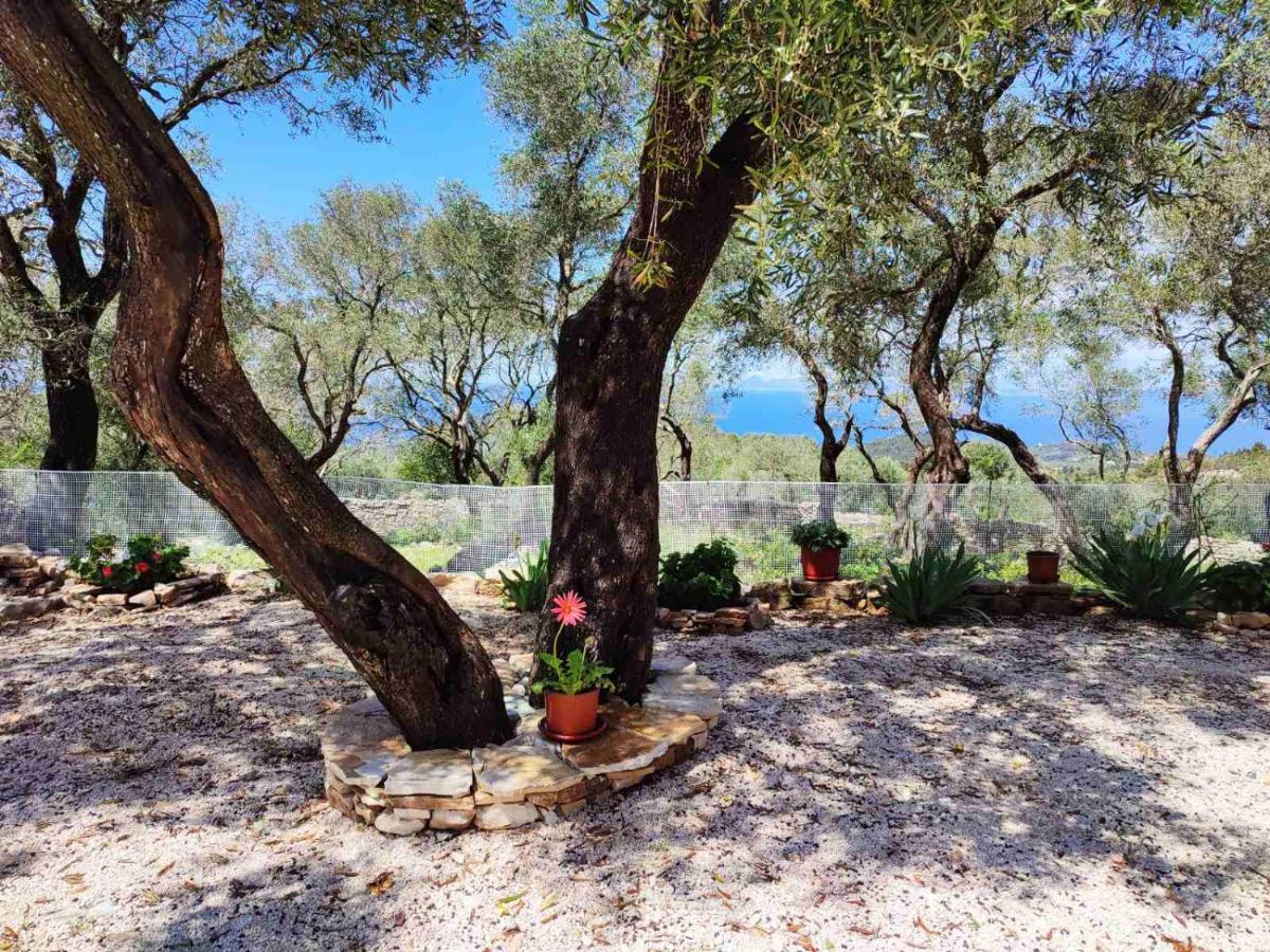 Villa Olive Garden, Kastanida - Paxoi جايوس المظهر الخارجي الصورة