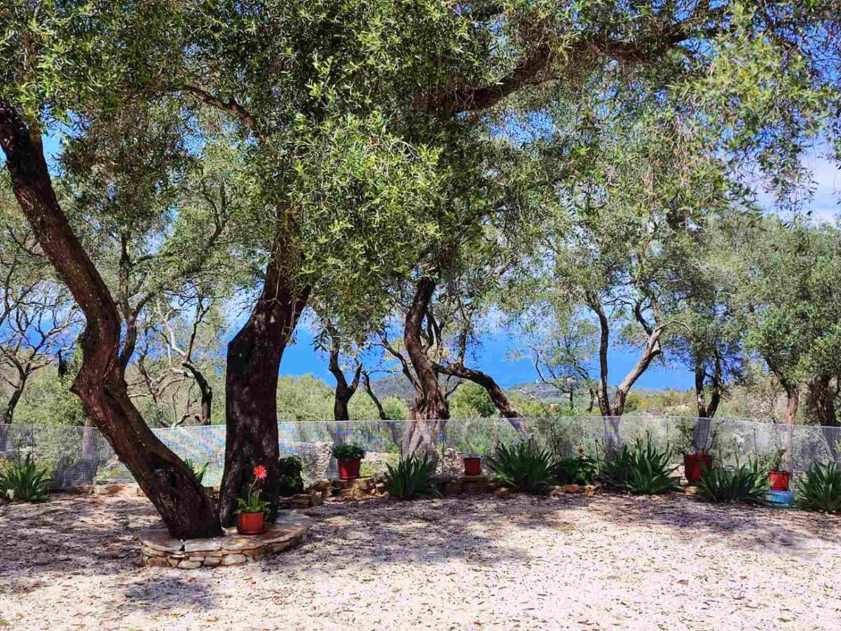 Villa Olive Garden, Kastanida - Paxoi جايوس المظهر الخارجي الصورة
