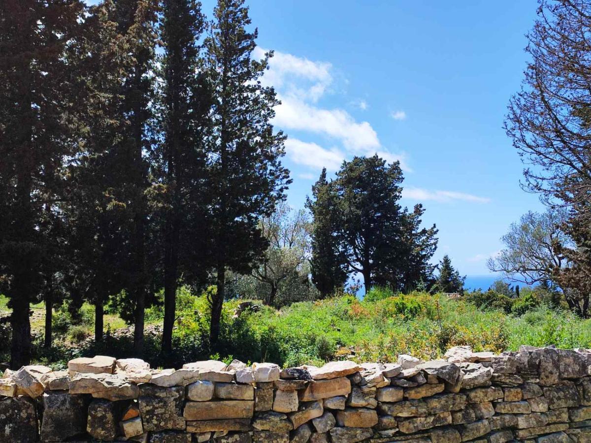 Villa Olive Garden, Kastanida - Paxoi جايوس المظهر الخارجي الصورة